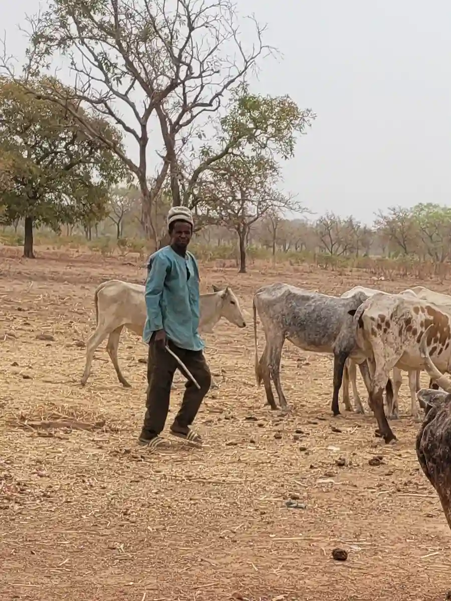 plateforme-al-houda-eleveurs-burkinabais